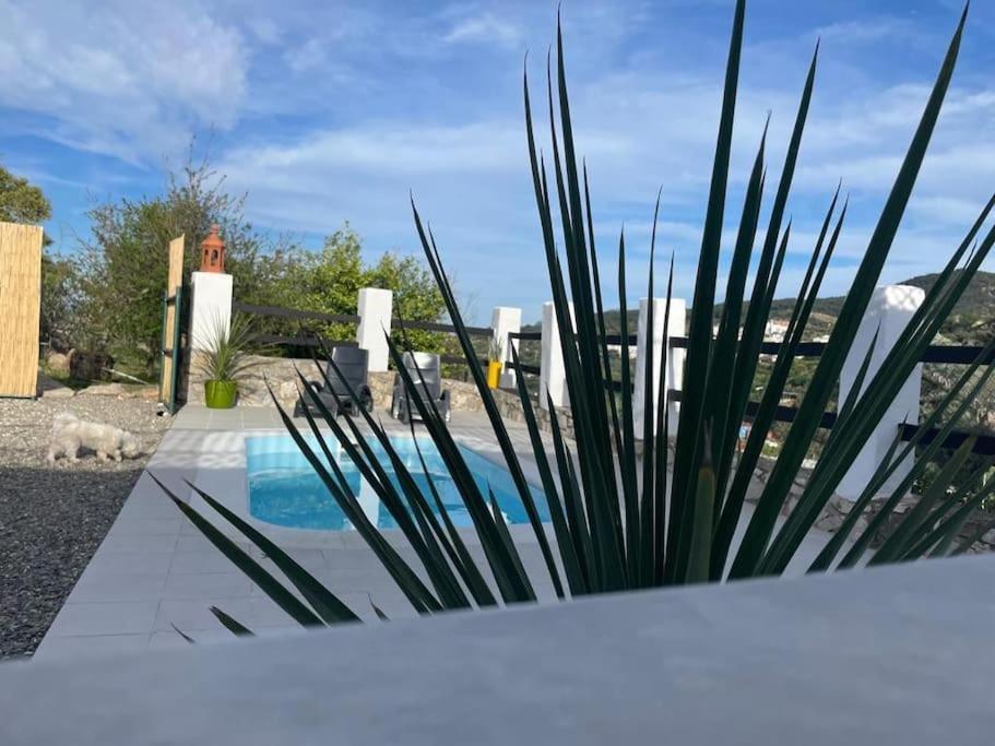Apartamento The Nook At Monda Exterior foto